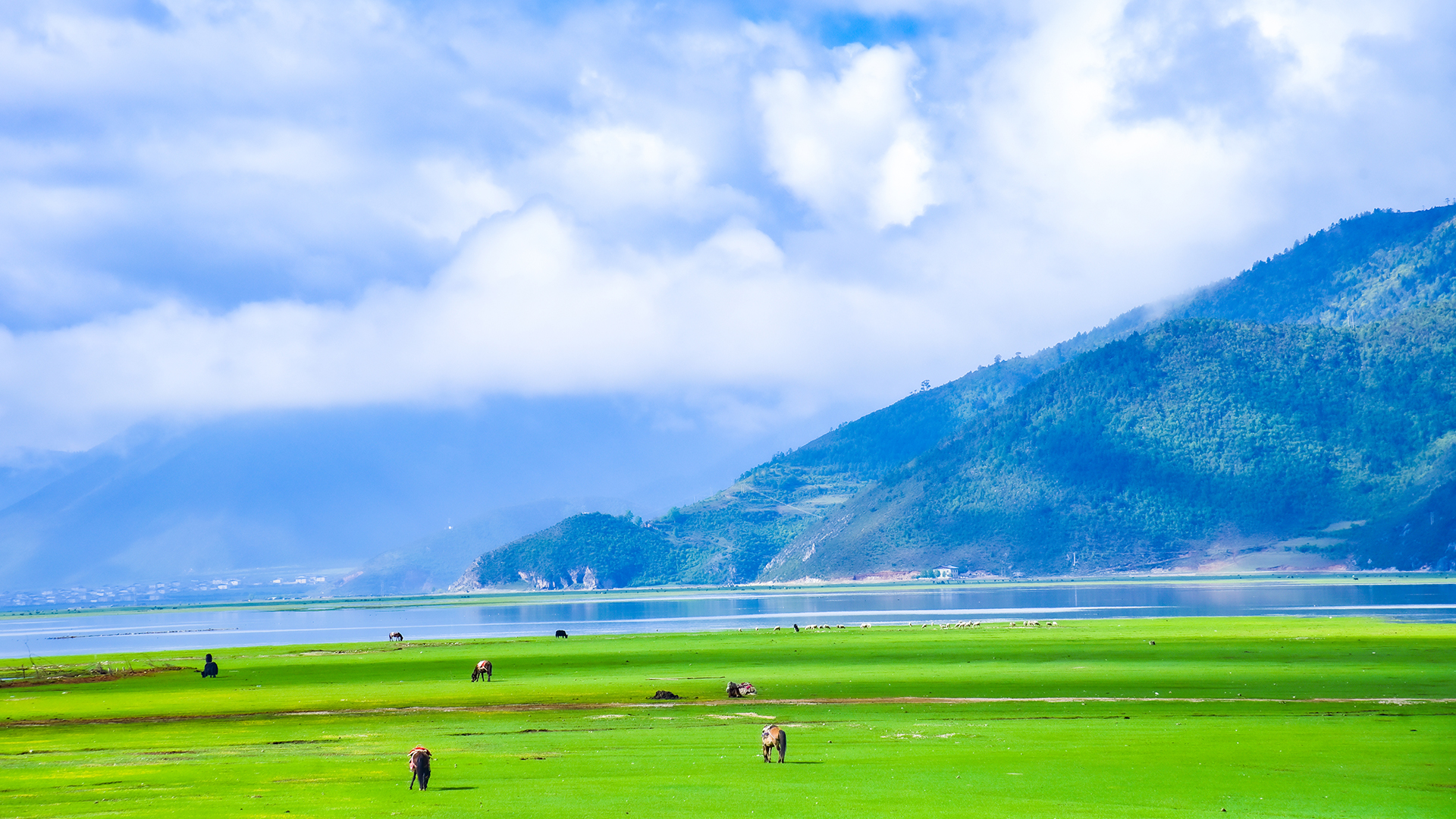 医圣实业(镇平县)有限公司
